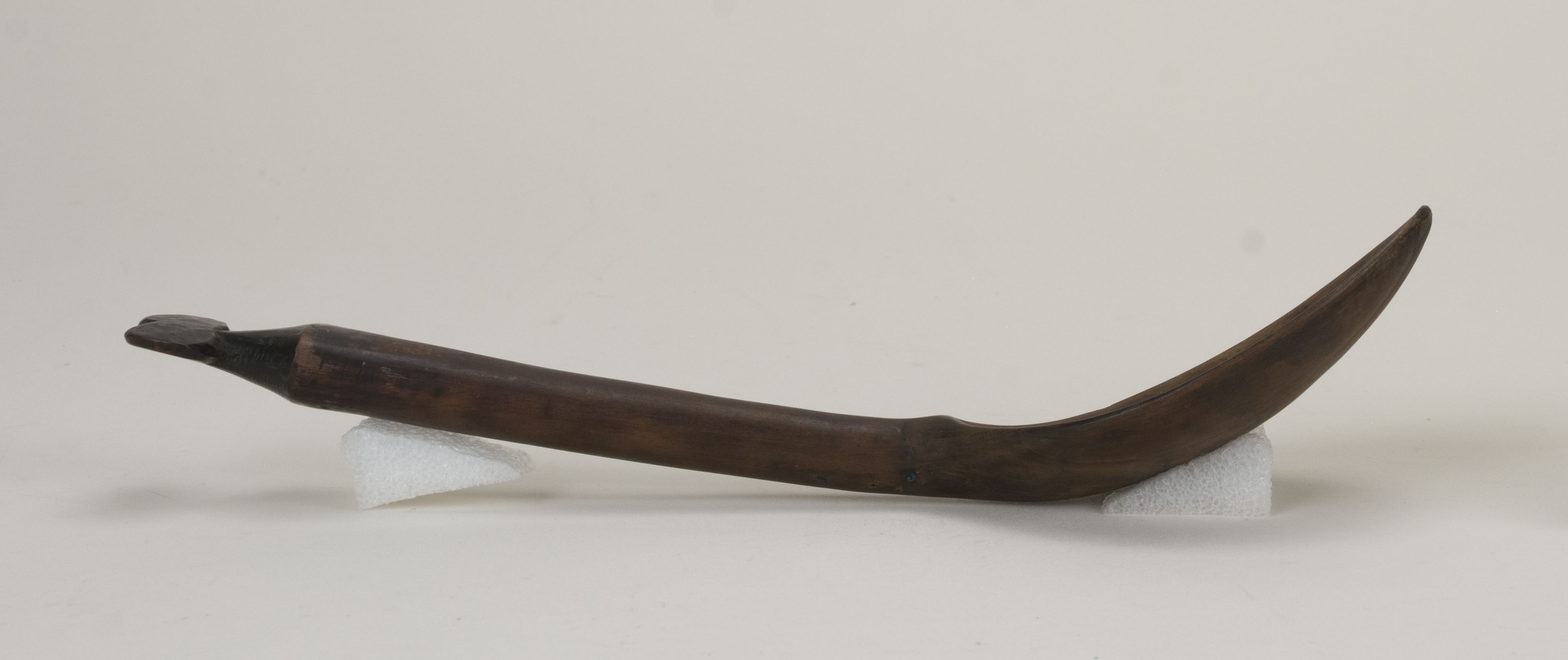 Side view without scale 